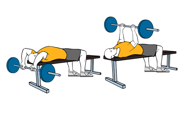 Pullover con barra en banco plano