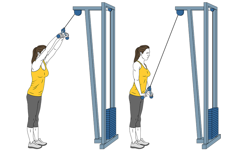 2 días en el gimnasio para mujeres. Día 2