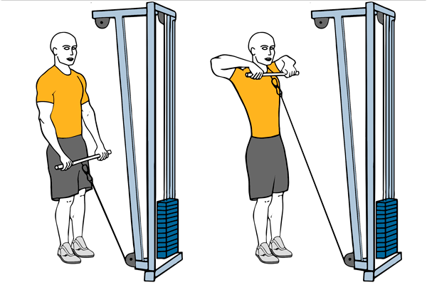 Remo al cuello con barra cable-polea de pie