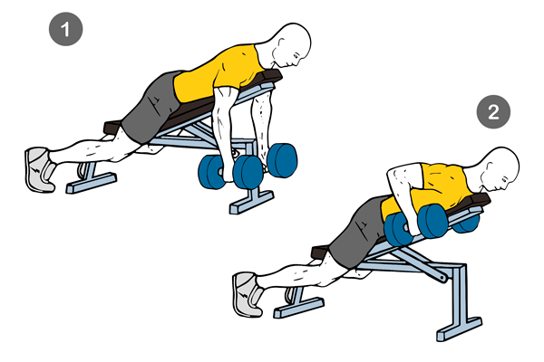 Los 9 mejores ejercicio para el gimnasio.