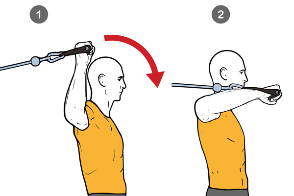 Sindrome del manguito rotador del hombro - Fase 3