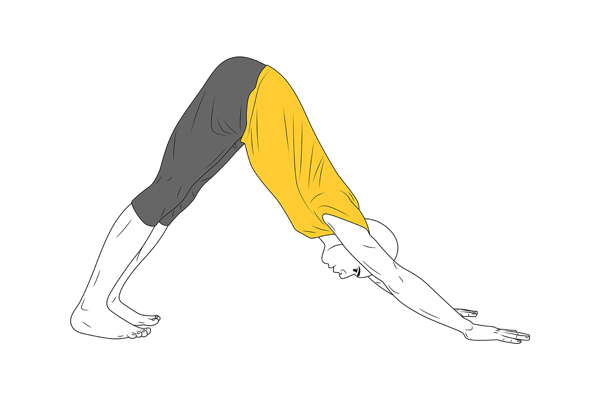 Yoga: Postura del Perro